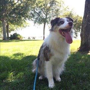 Meet your Posher, Katelyn